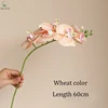 Couleur blé rose