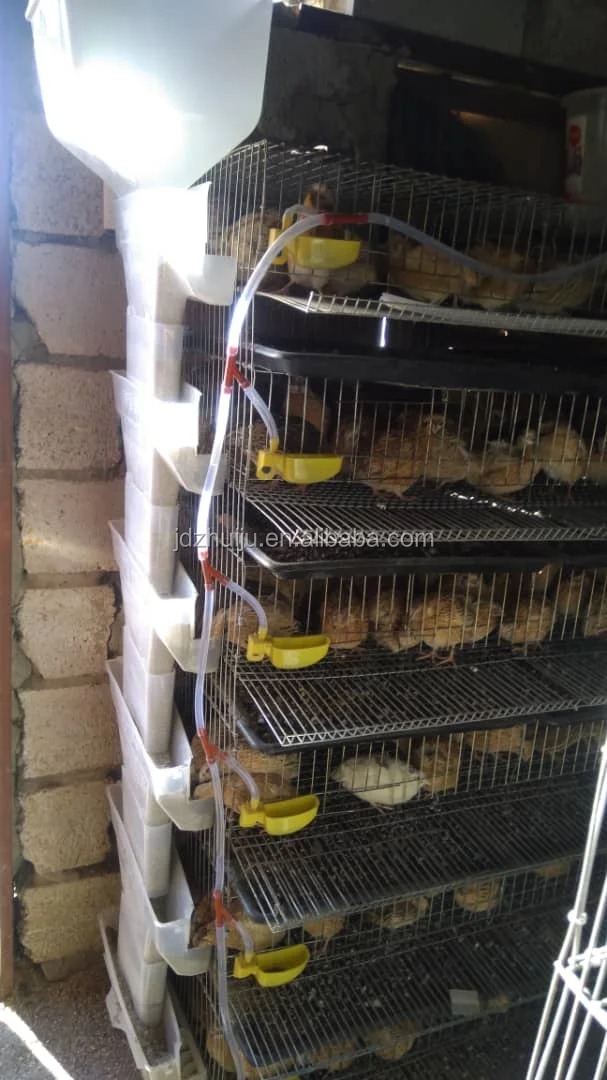 quail cage4 (1)