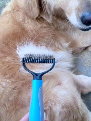 fur friend brush