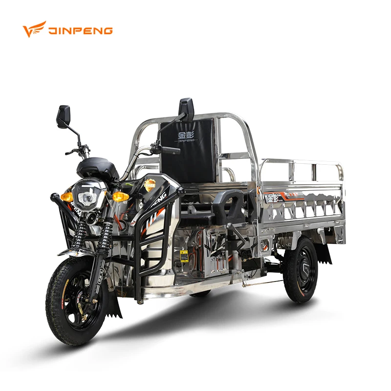 2024 Cheap E-Trikes 3 Wheel Cargo Electric Tricycles Motorcycle Three Wheel Adult