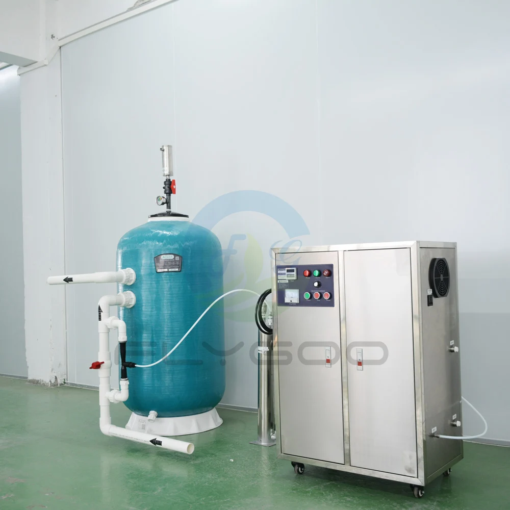 Ozone Generator for Swimming Pool