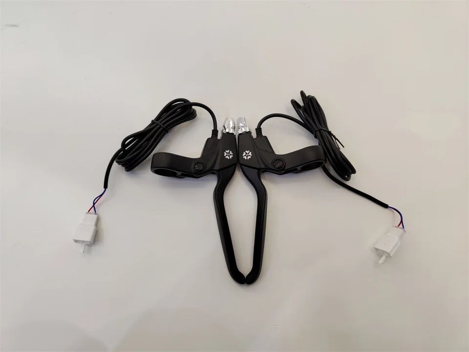 Professional Supplier Electric Bike DIY&Customized Motor Kits M5 LCD Display 36V 48V 500W 750W Rear Gearless Spoke Motor for Fat