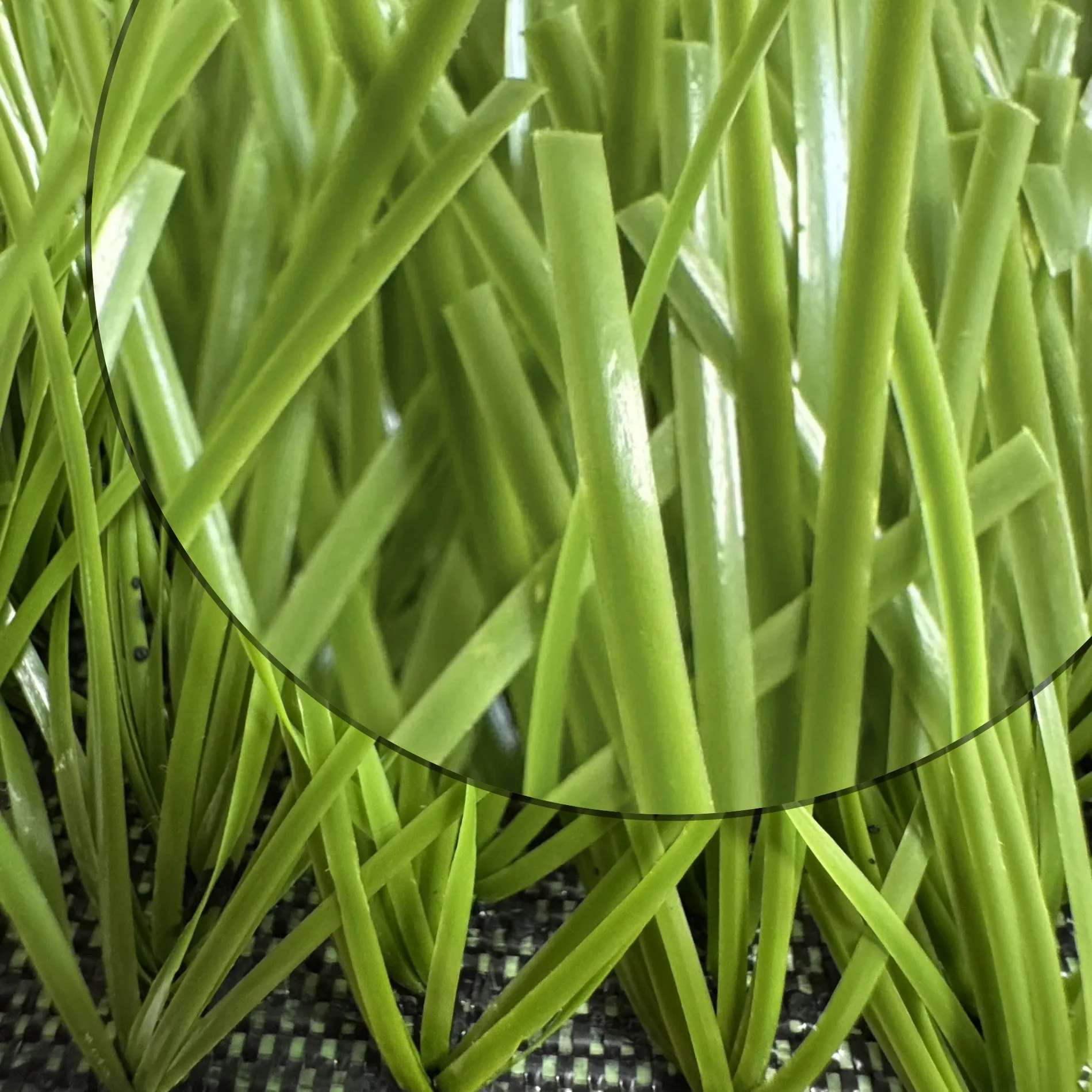 2025 10mm PP & PE Material Artificial Gym Fitness Flooring Turf Gym ...