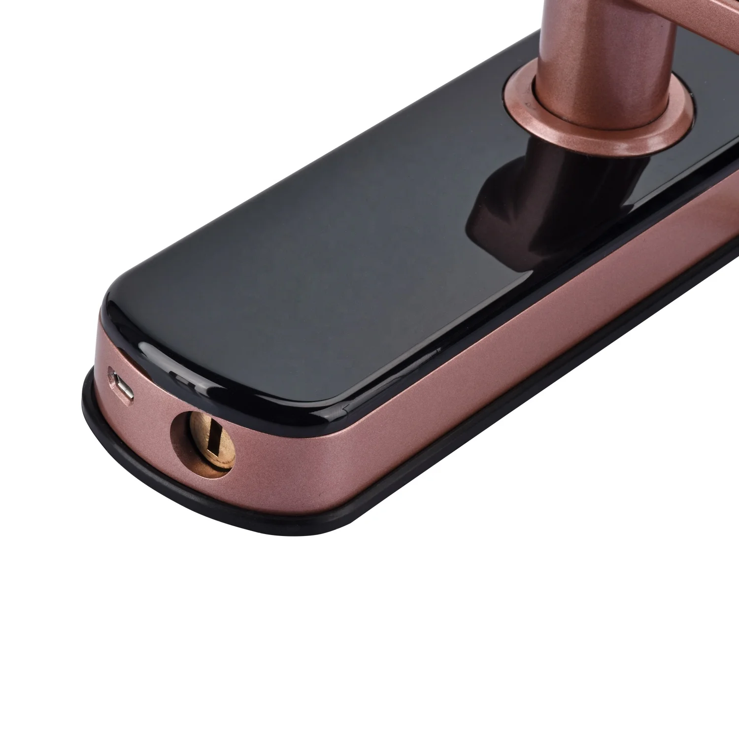 Tuya Wooden Door Smart Lock Fingerprint Security Home Electric Deadbolt Digital Card Ttlock App Biometric Fingerprint Door Lock