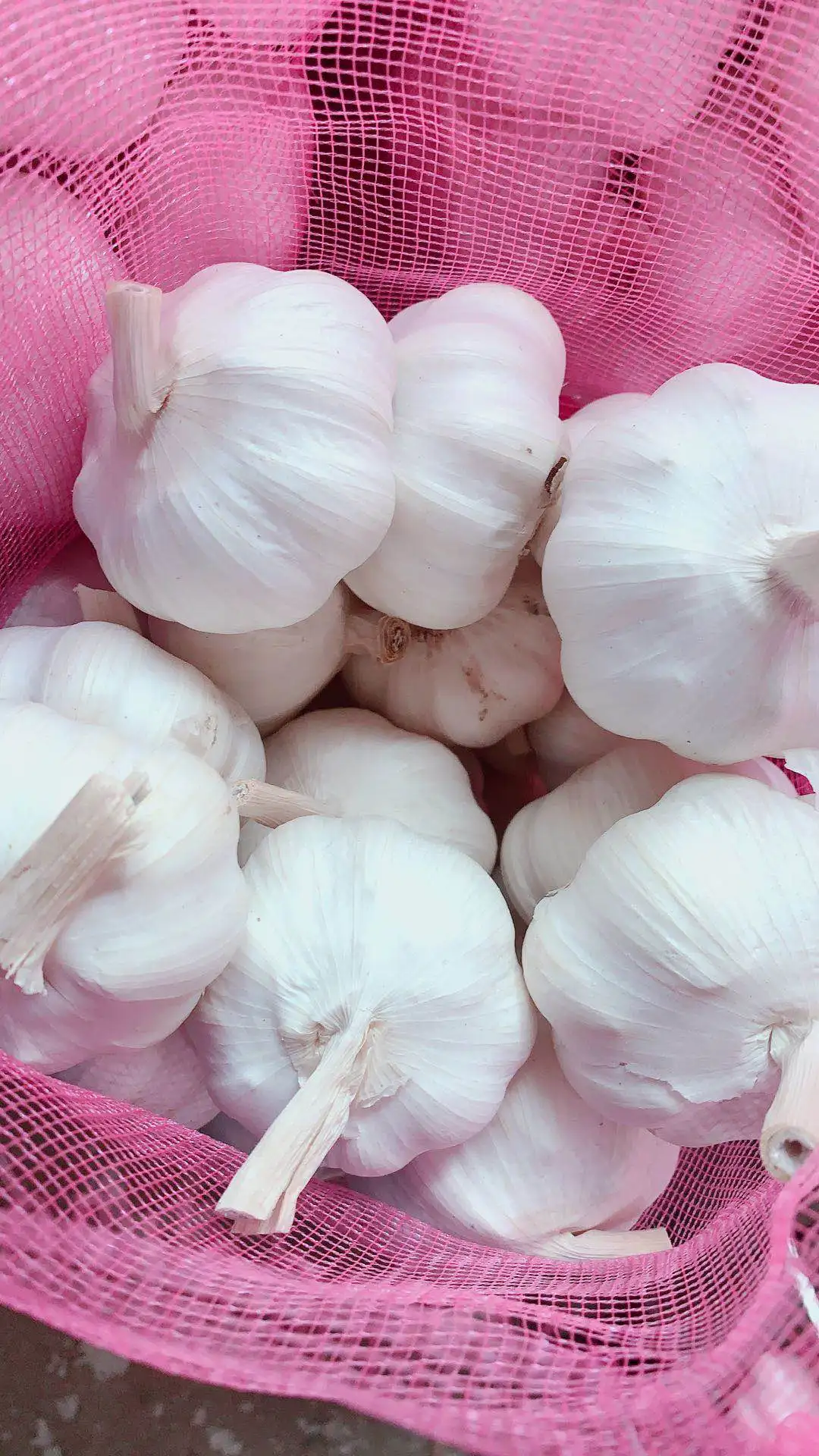 Wholesale Chinese China Fresh White Garlic Distributor Export Supplier For Sale Alibaba Buy