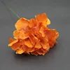 Orange with branches