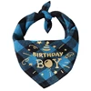 Ragazzo blu