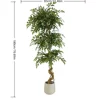 XY2507-3776 180CM