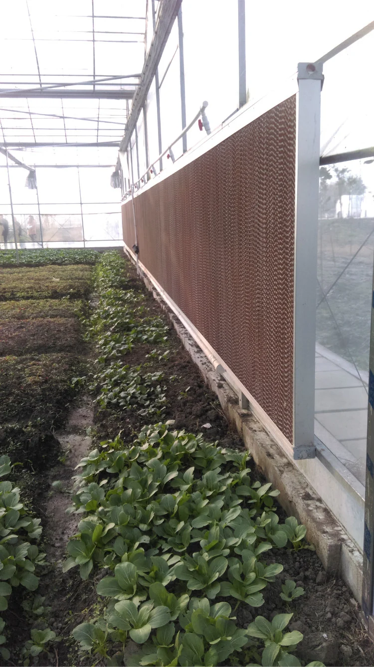 medical herb greenhouse