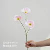 Coquelicot à trois têtes - rose clair