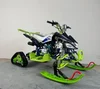moto da neve