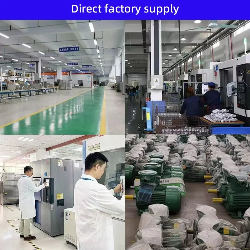 110V Stainless Steel Kcb 55 83.3 Electric Palm Hot Cooking Oil Transfer Pump Oil Gear Pump Kcb 200 1.1kw 380V