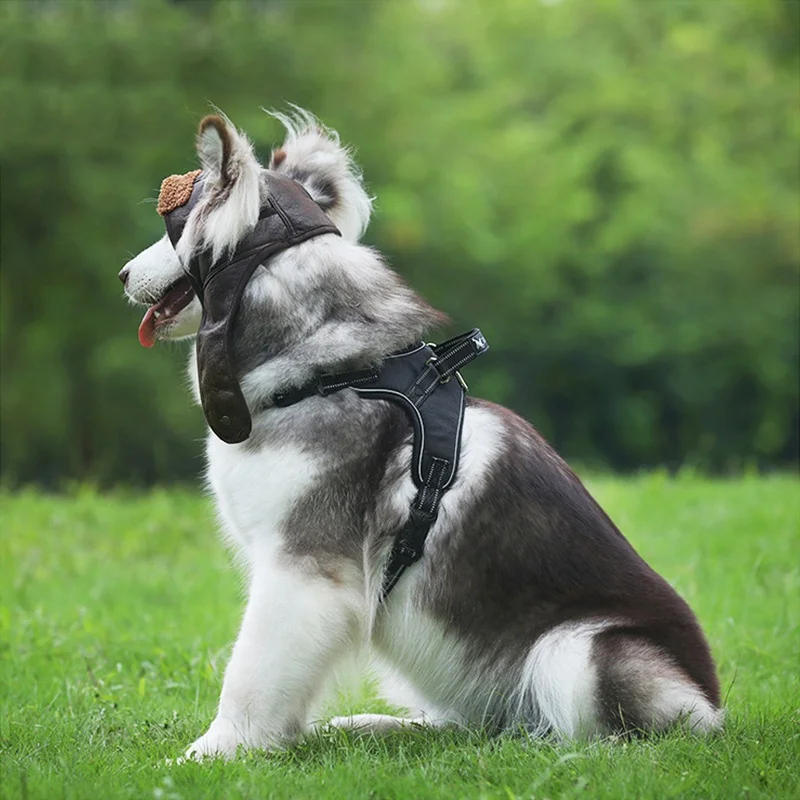 Wholesale Dog Pilot Hat Leather Warm Cool Pet Hat for Small Dogs