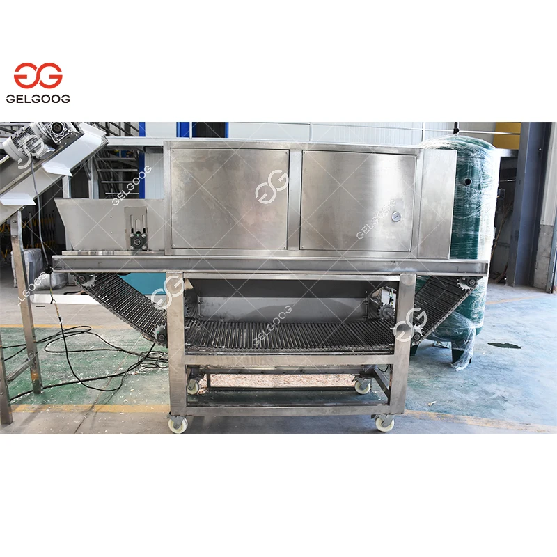 Gelgoog Manufctring Automatic Garlic Powder Processing Plant Garlic Powder Production Line Drying Machine