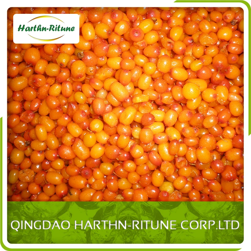 IQF Təzə Dondurulmuş Dəniz Qarası Toptan Qiyməti IQF Dondurulmuş Meyvələr Partiyası 10 kq Dondurulmuş Dəniz Qarası