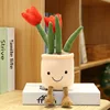 Tulipe rouge-25cm-014kg