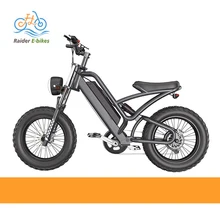 RaiderRover-238 Long Range 20 inch 48v750W waterproof ebike electric fat tire bike Road Dirt Mountain hybrid electric bicycle