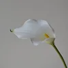 Calla Lily