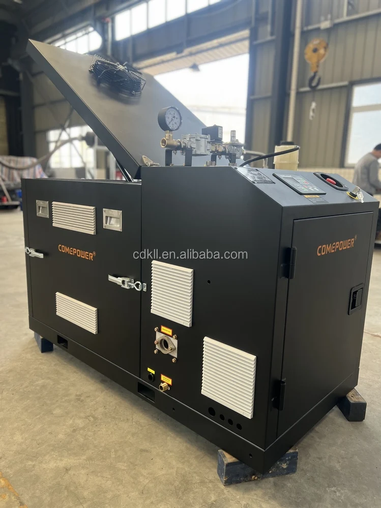 Silent Type  Sustainable Power Plant 20kw  3 Phase  Micro CHP  Biogas LPG  Natural Gas Generator for Sale