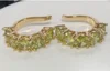 gold-Olive Yellow