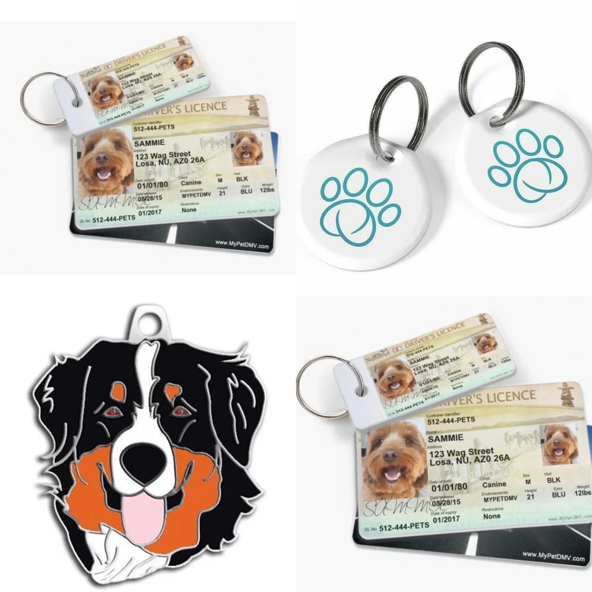 Limited Passive Sensor RFID Cat Feeder 125khz Waterproof Pet