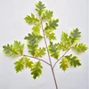 Verde-giallo