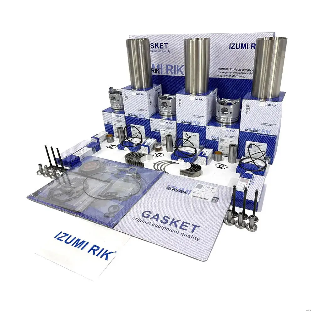 Industrial Engine Parts IZUMI RIK FL913C Overhaul Rebuild Kit for Deutz