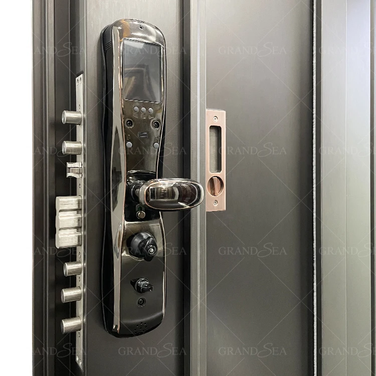 Made in China Factory Price of Stainless Steel Door Panel Malaysia Johor Bahru