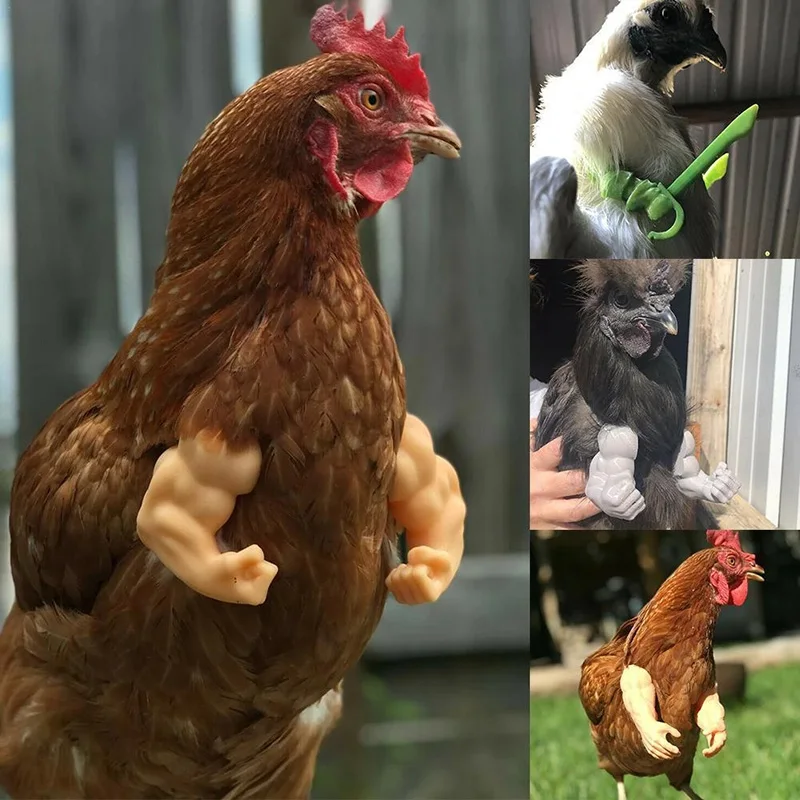 Muscle Chicken Arms Toys For Pet Chickens To Wear, Funny Costume