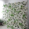 Verde blanco