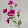 flor de mariposa