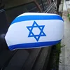 Car Mirror Cover