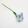 Blue flowering tulips
