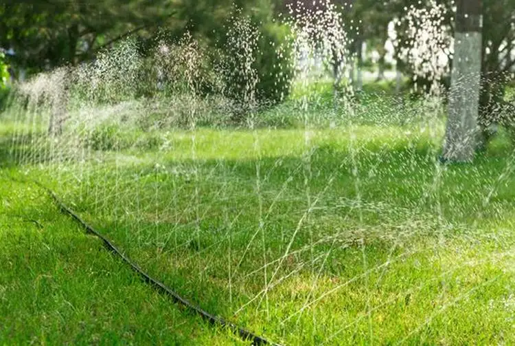 Kit D'irrigation Jardin 20 M : Arrosez Automatiquement Vos Plantes, Fleurs Et Pelouse !