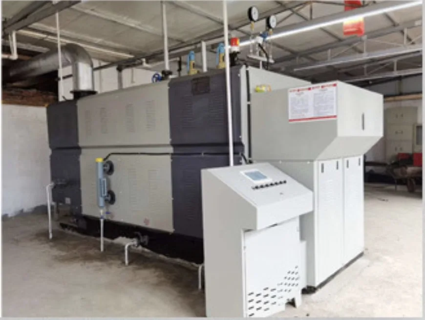 Biomass Coal Fired Steam Generator DZG Structure Boiler