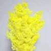Lemon yellow