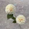 MIX-- # 10