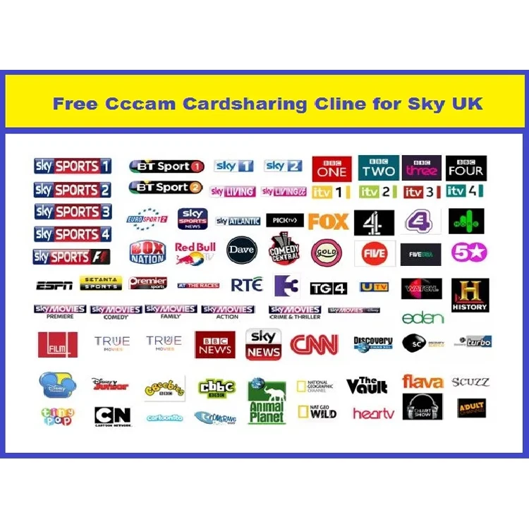 Egygold Cccam Oscam 8 Lines For Poland Germany Uk Italy Netherlands