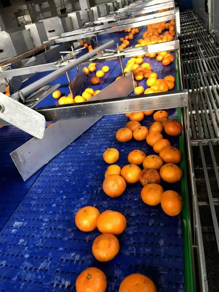 Industrial Automatic Tangerine Juice Making Extractor Machine Maker