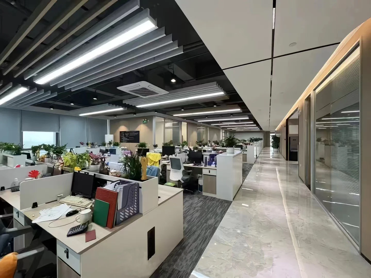 Dongguan Runhong Sports Products Co., Ltd. 3