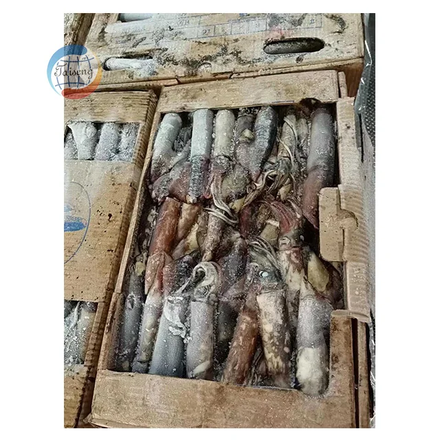 Cheap Fresh Seafood Frozen Calamari Indian Squid