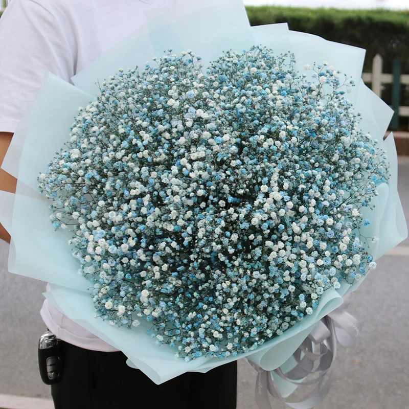 Wholesale Decorative Flowers natural gypsophila decoration gypsophila preserved gypsophila