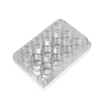 Lab Consumables Plastic Sterile 12 Well Tissue Cell Culture Plate With TC Treated