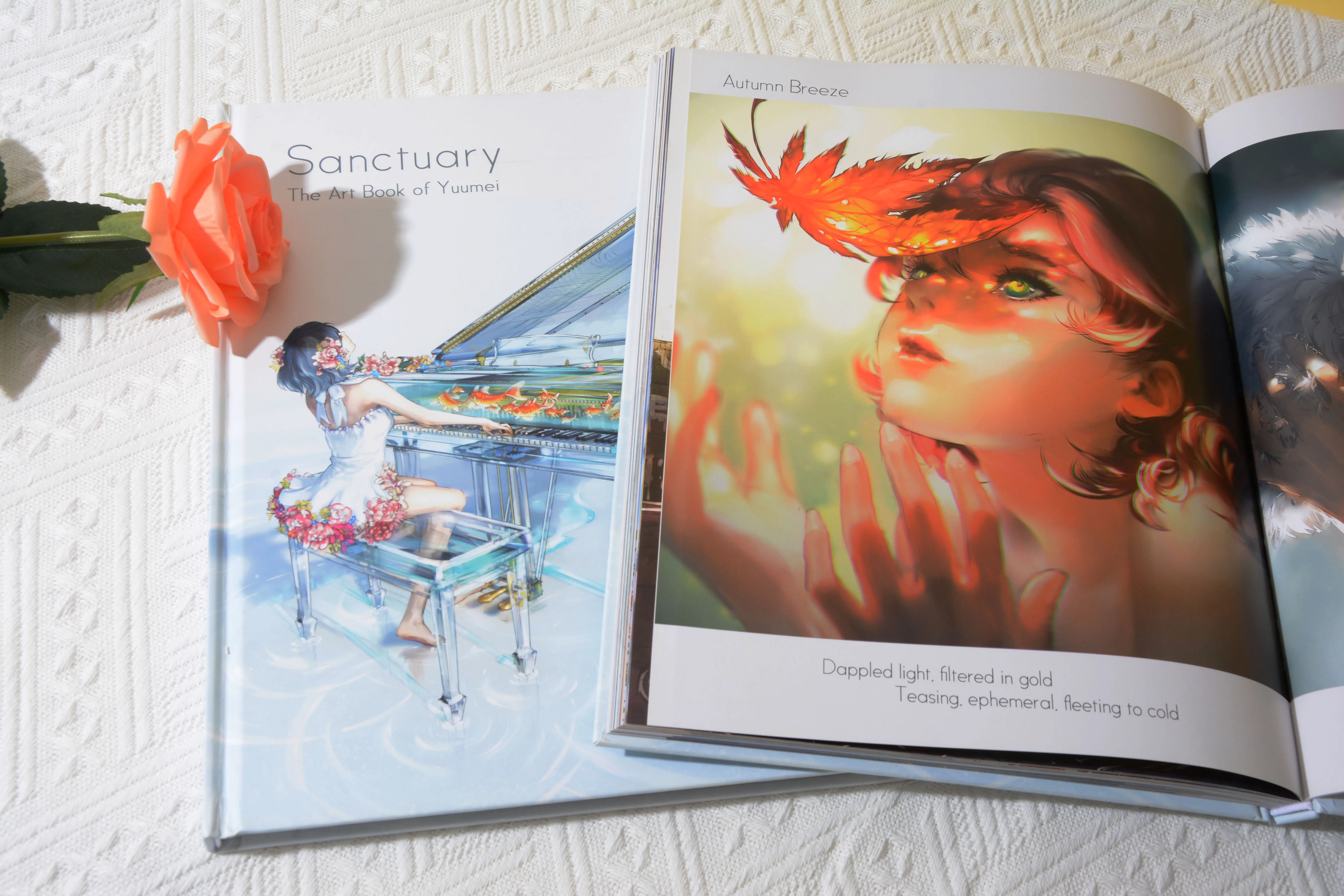 Custom Book Printing Exclusive Hardcover Novel Books Multicolored