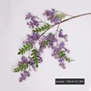 6/Flor de Sophora grande/Morado
