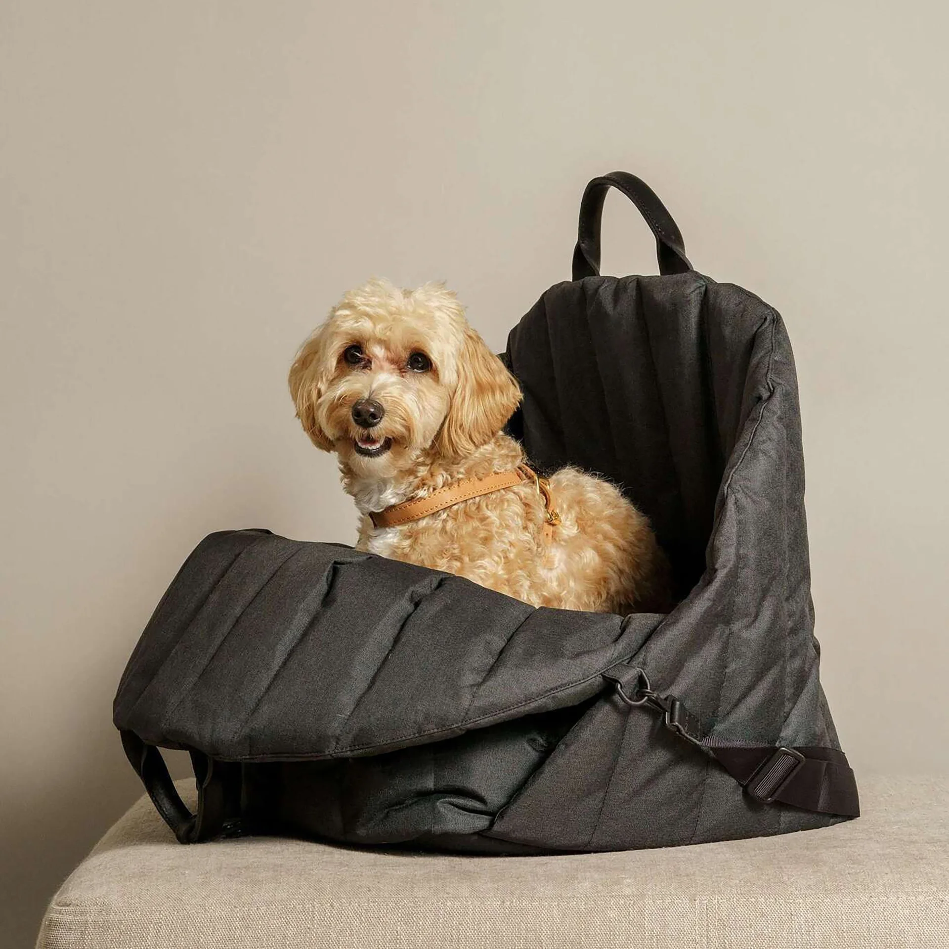 Luxury Small Dog Car Seat Sling Carrier Warm Portable Pet Backpack Soft Transparent Canvas Safety Removable Outdoor House Pet