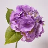 Viola chiaro