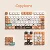 Capybara