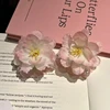 FS191-4 Pink 2 Pieces/Set