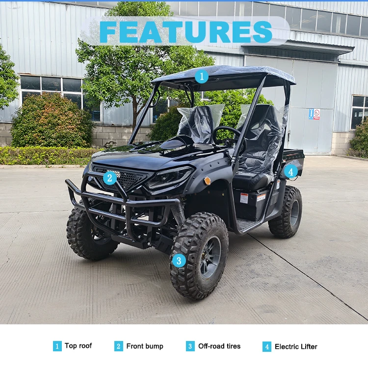 2 Seater EEC Manufacturer Certified Automatic Electric UTV 4x4 with ...